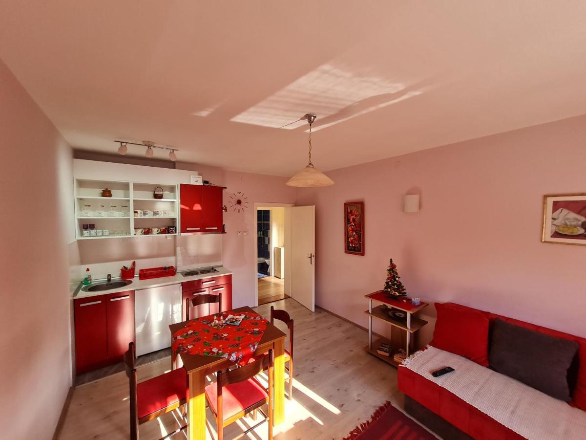 Apartman "Nina" Соко Баня Екстериор снимка