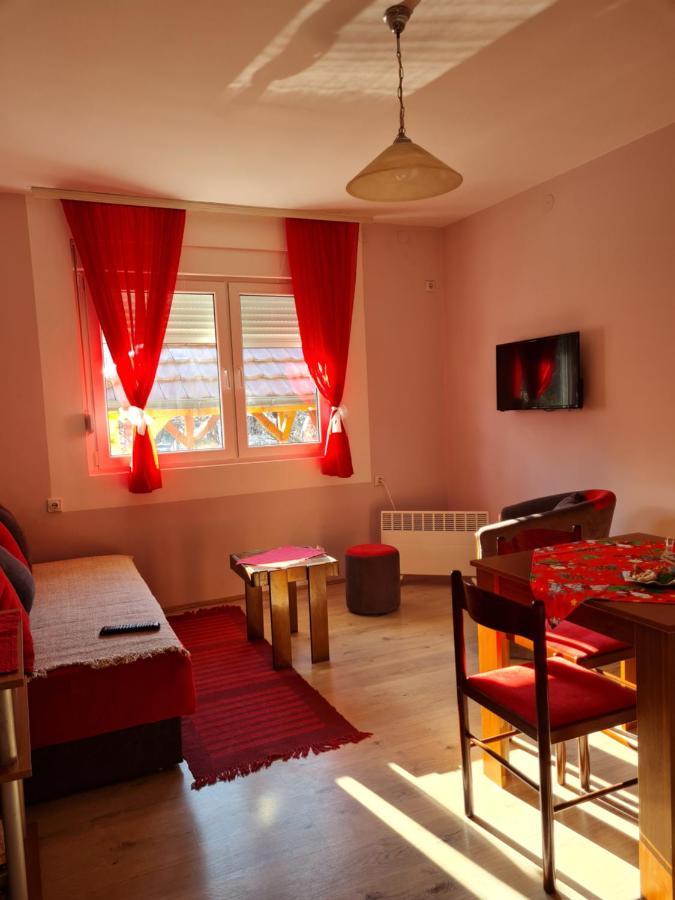 Apartman "Nina" Соко Баня Екстериор снимка